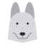 greyhoundforecast.com